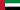 Dubai Flag