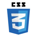CSS Logo